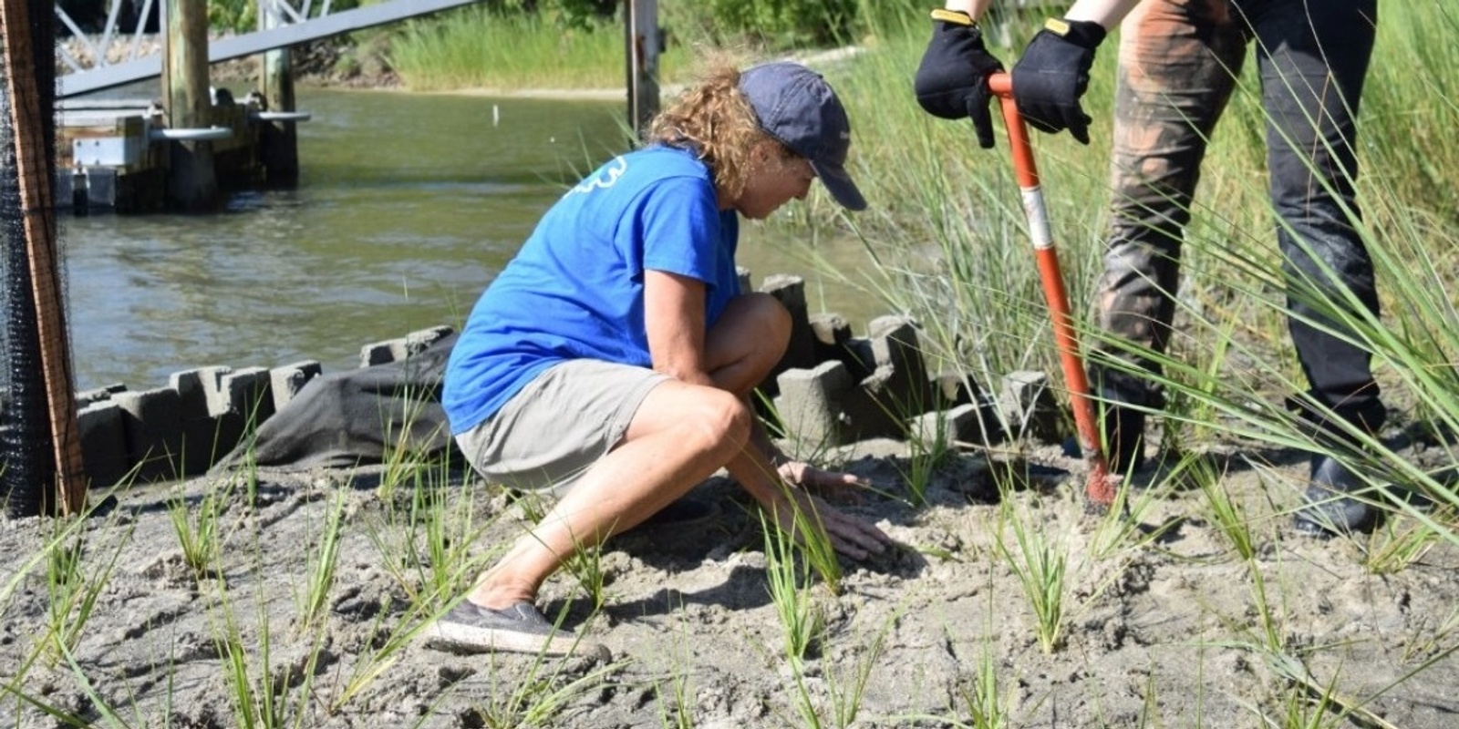 Banner image for Help Build a New Wetland