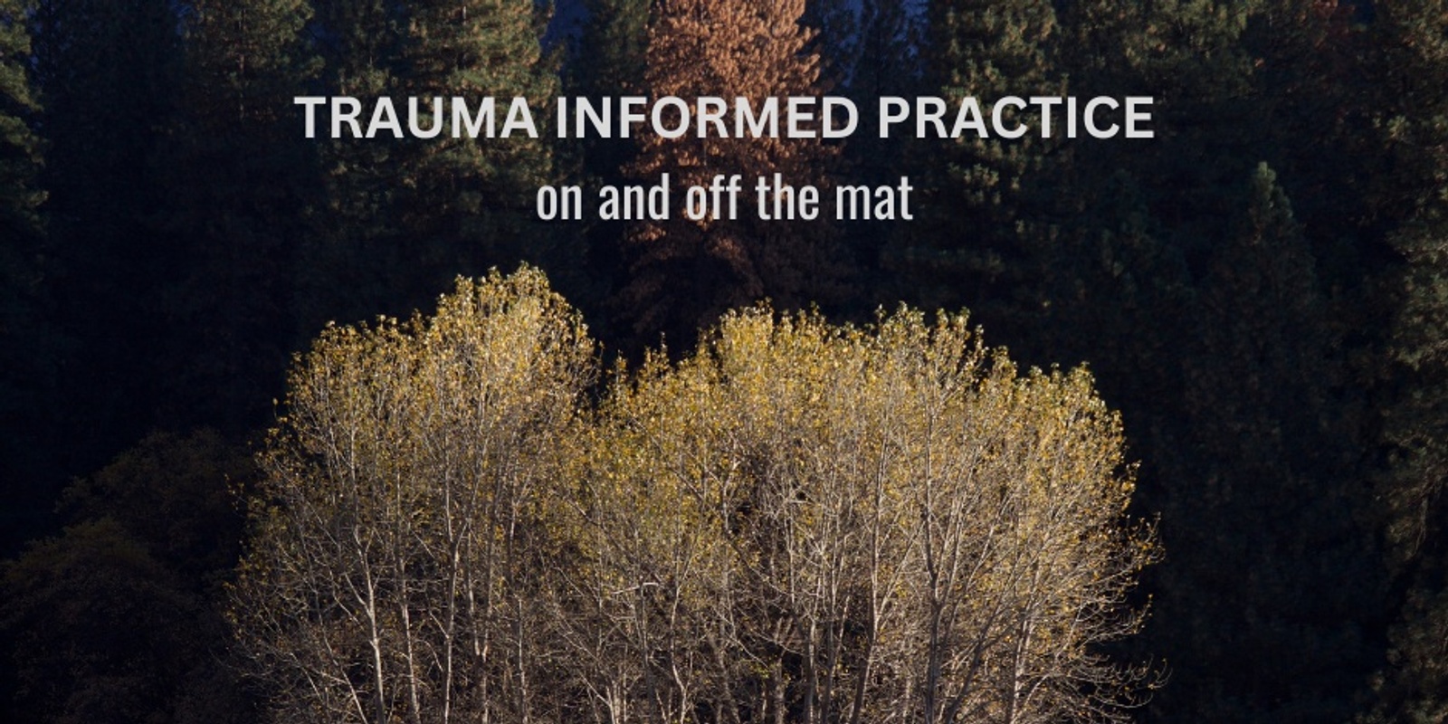 Banner image for Trauma Informed Practice: on and off the mat