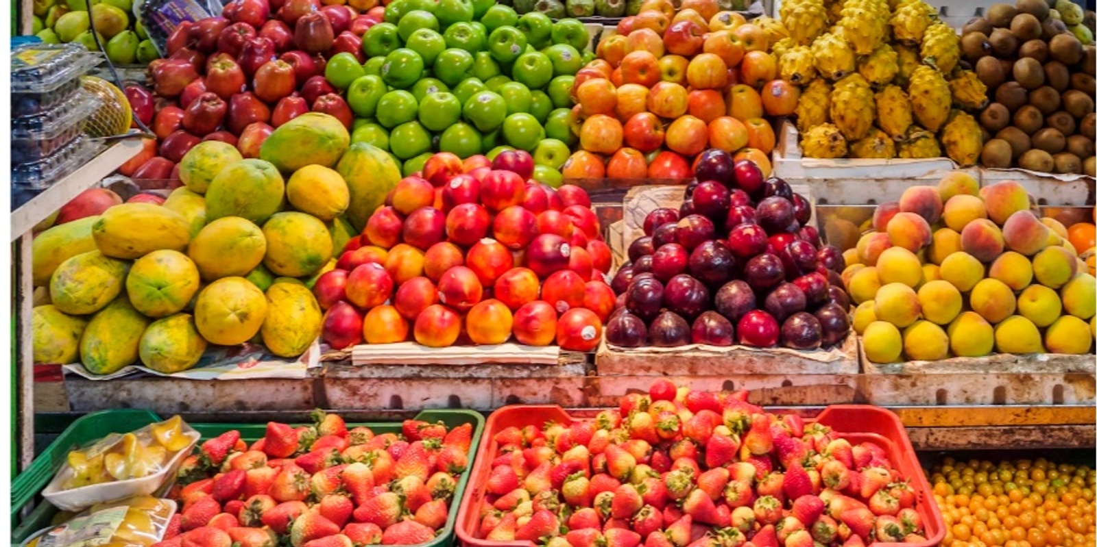 Banner image for Bulk Food Shopping for a better Planet