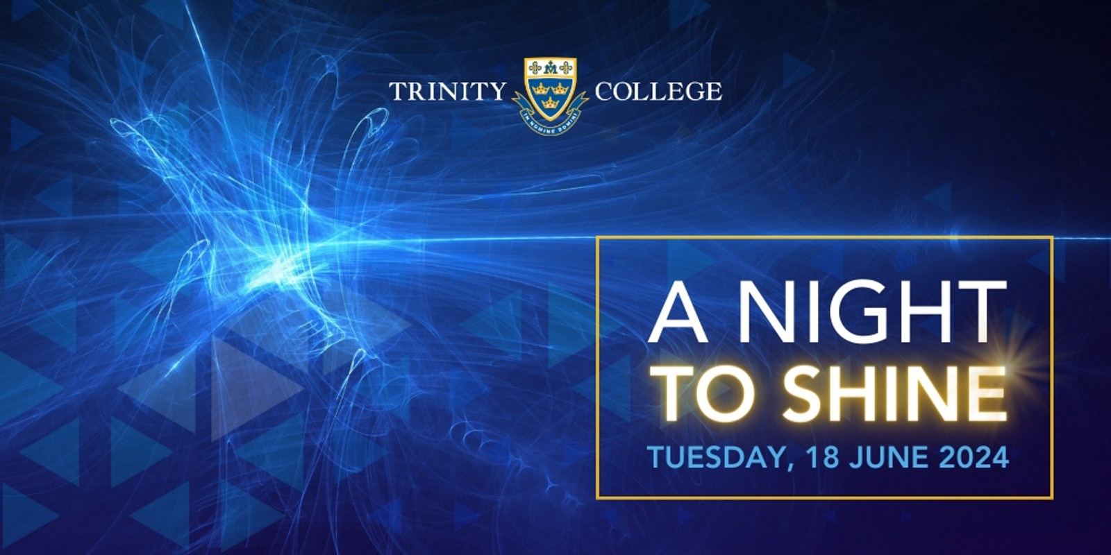Banner image for 2024 Trinity College 'A Night to Shine'