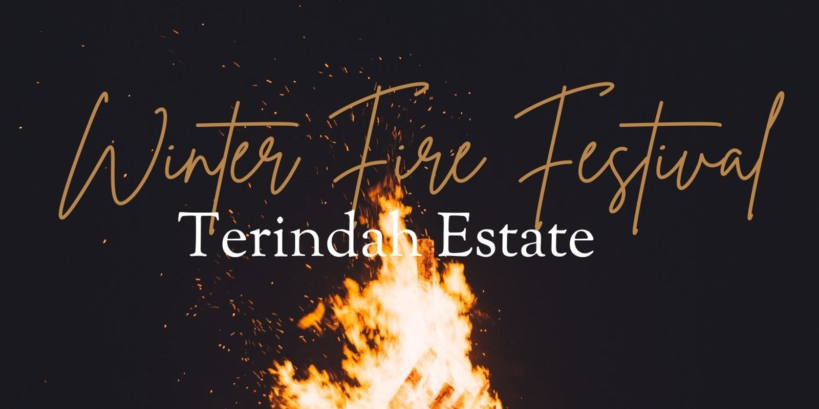 Banner image for Winter Fire Festival 