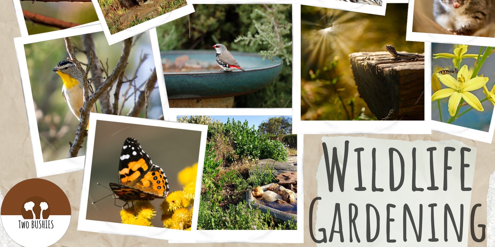 Banner image for Habitat Heroes: Wildlife Gardening