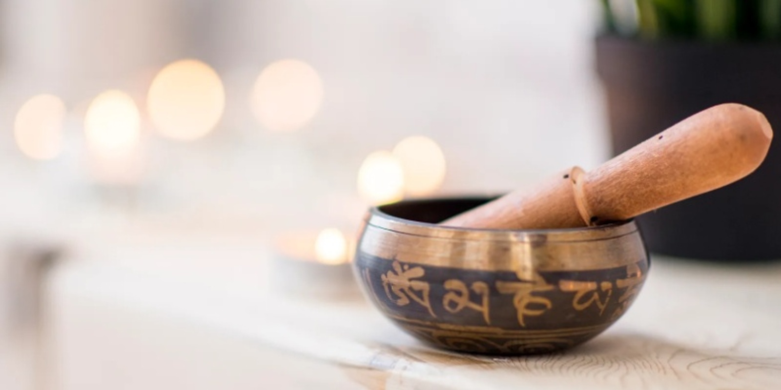 Banner image for Meditation & Sound Bath Workshop