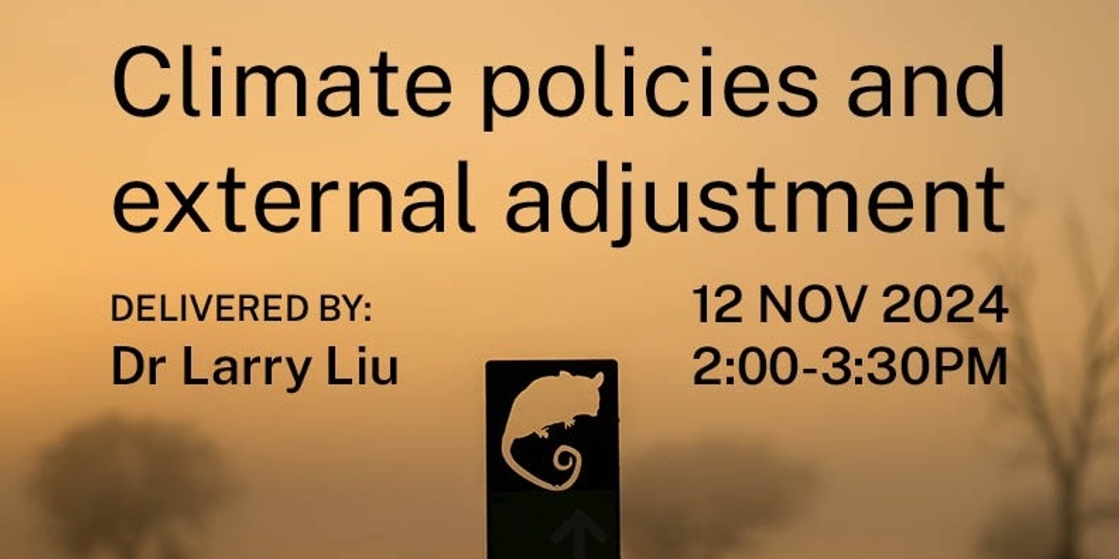 Banner image for Climate policies and external adjustment