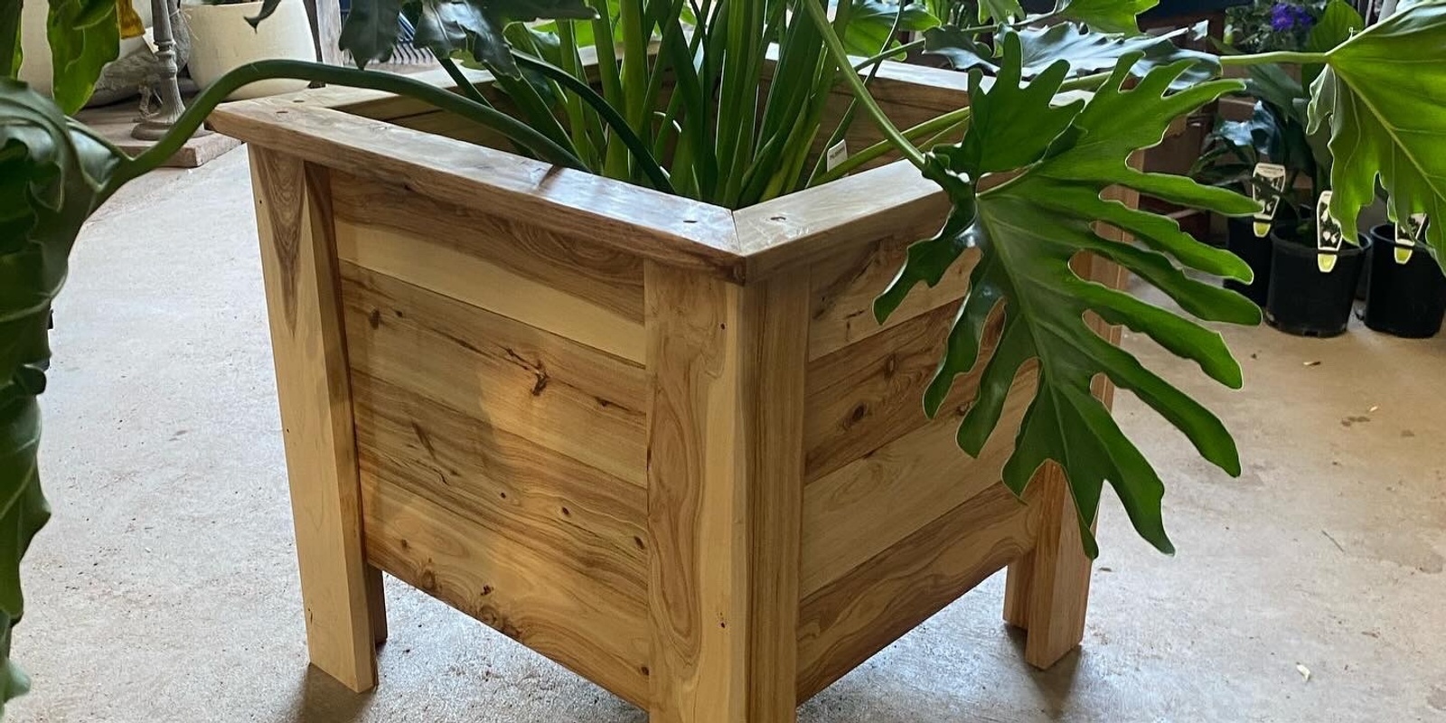 Banner image for Planter Boxes