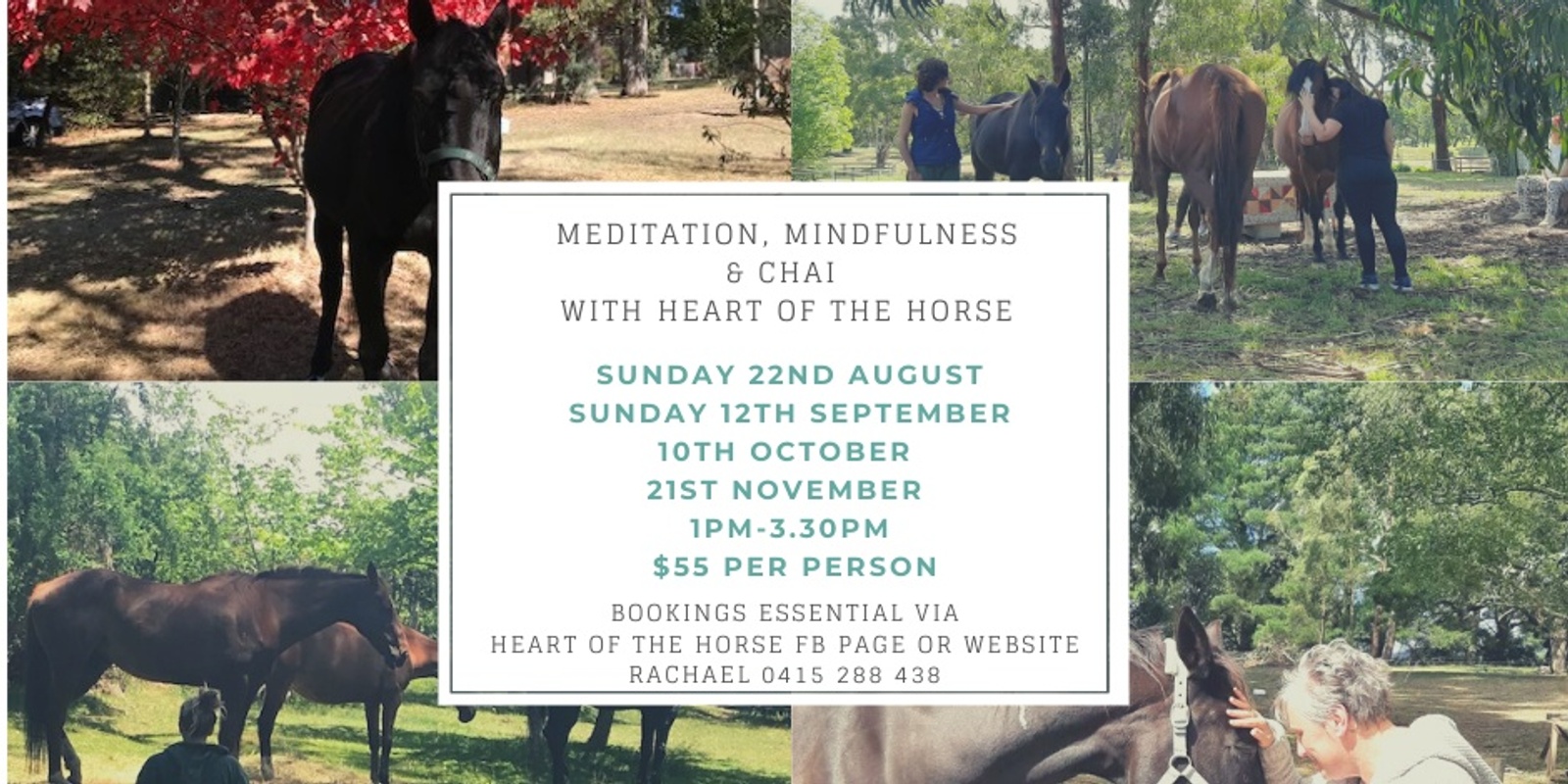 Banner image for Meditation, Mindfulness & Chai with Heart of the Horse 10th October 2021