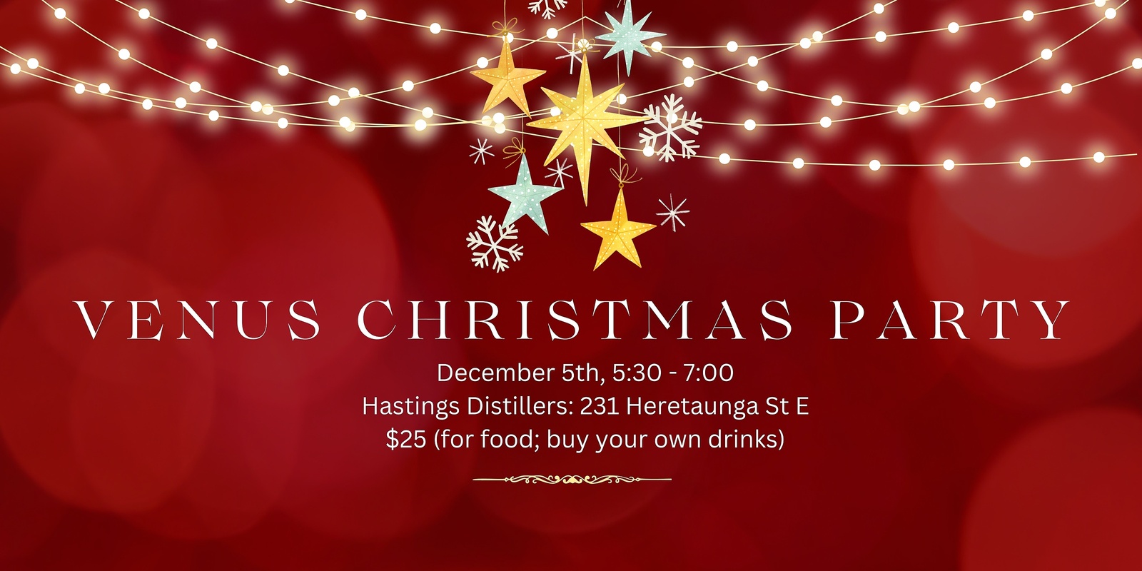 Banner image for Venus Hawkes Bay Christmas Party