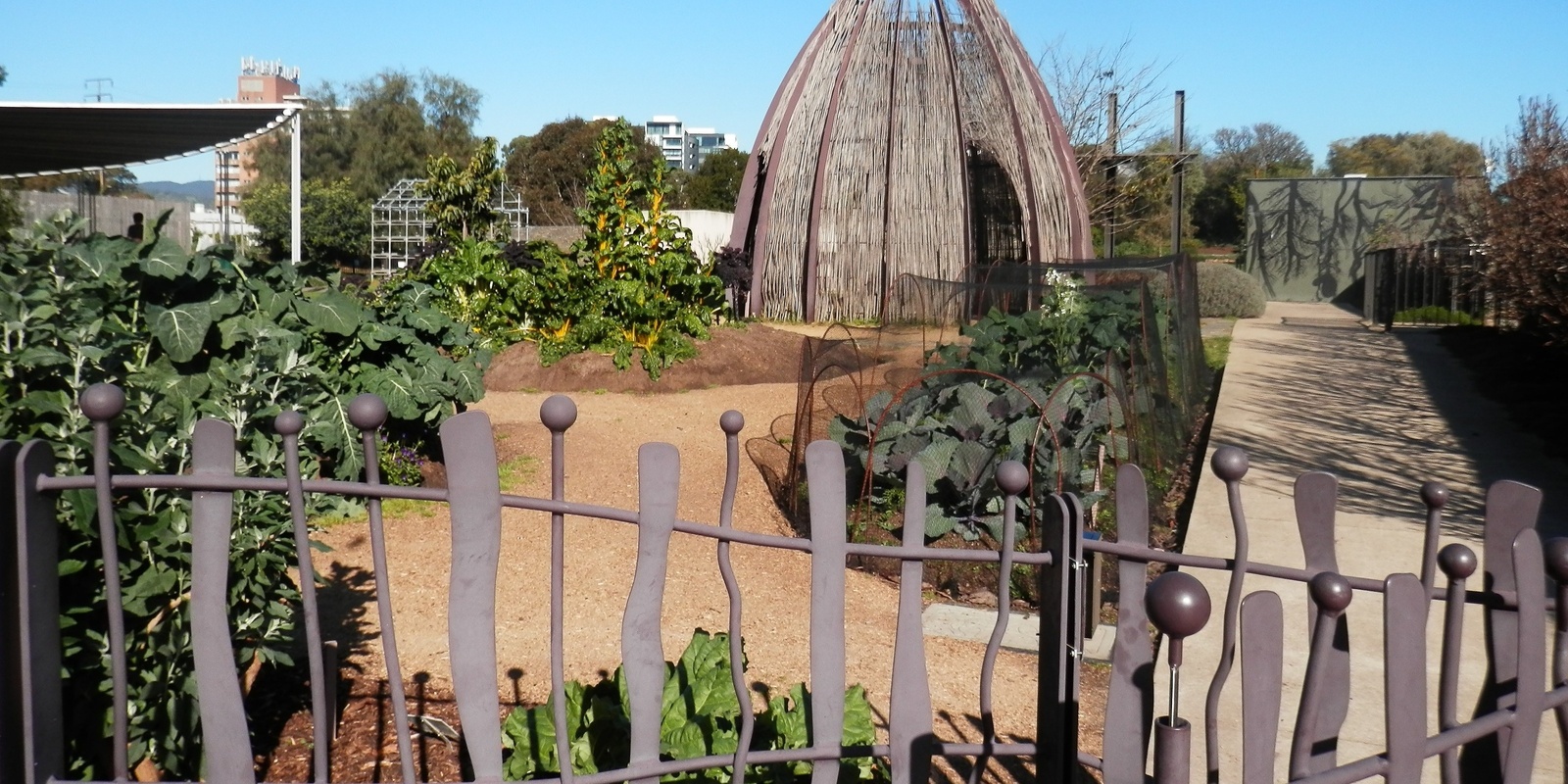 Banner image for Adelaide Botanic Garden Guided Walk