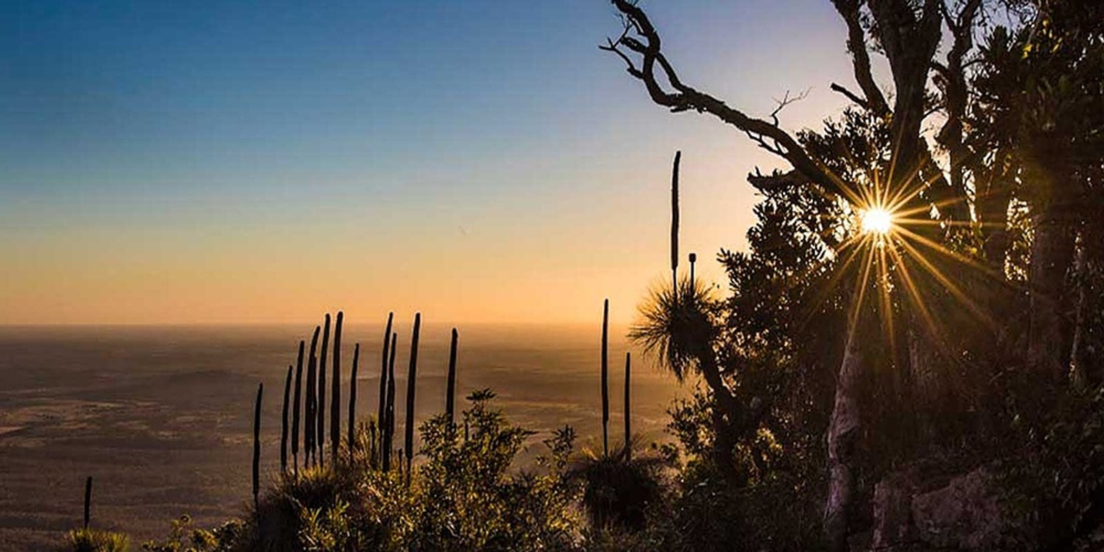 Banner image for Bunya Mountains Winter Escape