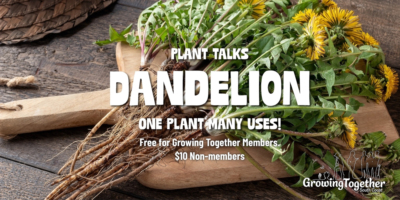 Banner image for Dandelion - Useful plant talks