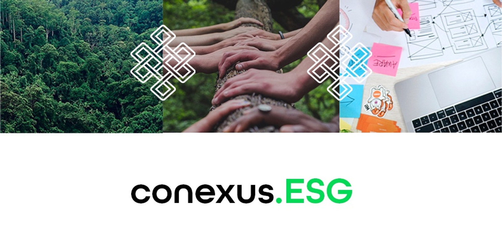 Conexus.ESG's banner