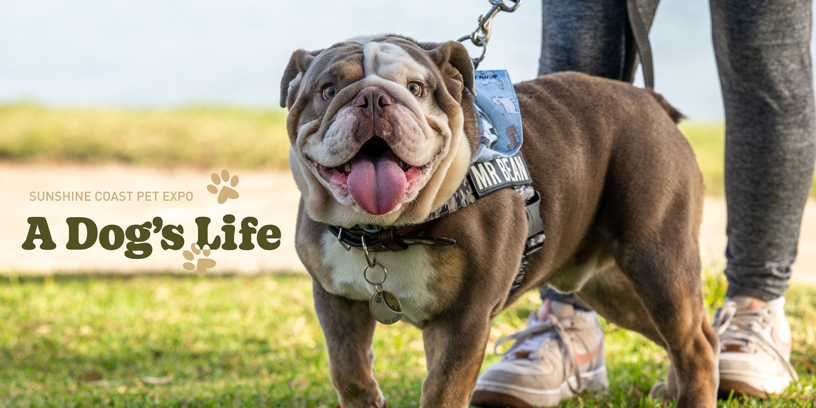 Banner image for A Dog's Life: Pet Expo 2024