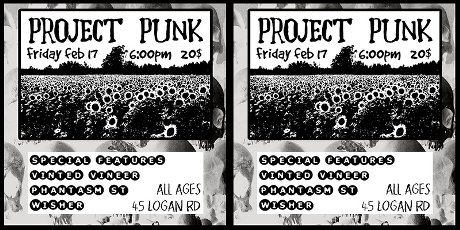 Banner image for Project Punk