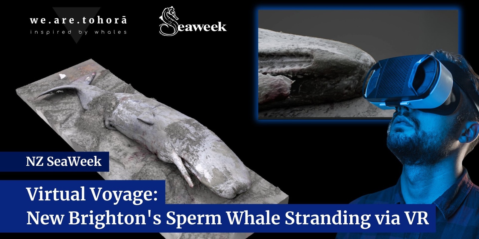 Banner image for NZ SeaWeek | Virtual Voyage: New Brighton's Sperm Whale Stranding via VR