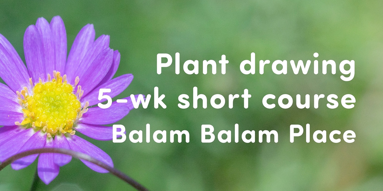 Banner image for 5-wk Plant drawing short course 🌿 Balam Balam Place