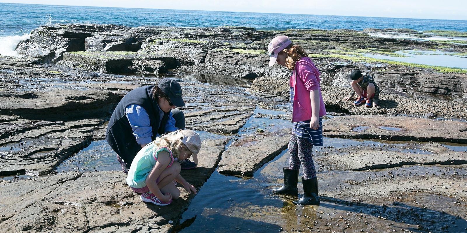 Banner image for Rock Platform Ramble at Long Reef