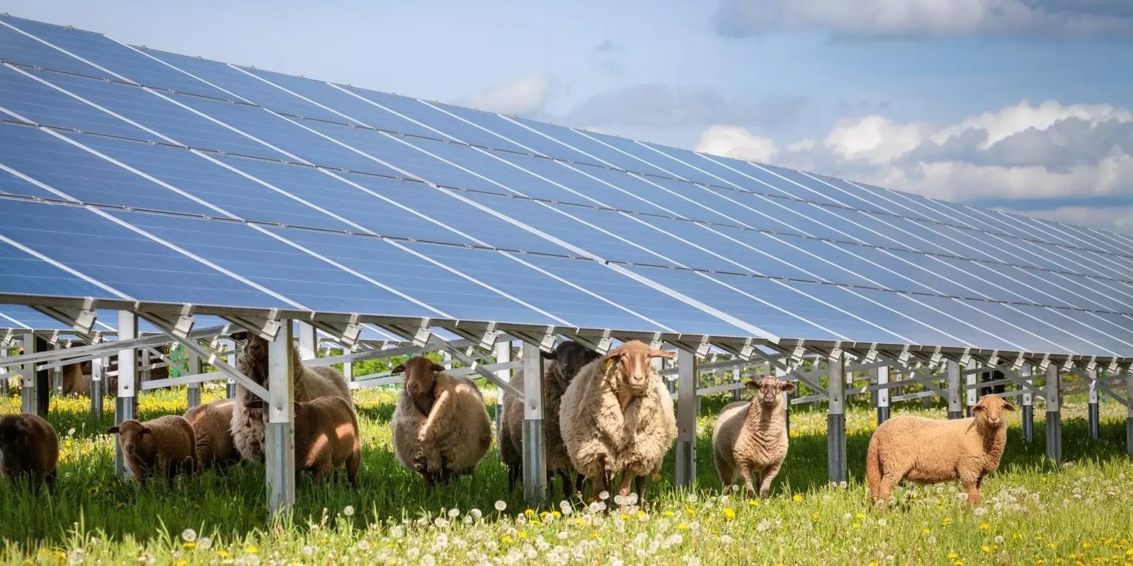 Banner image for Understanding carbon on farms - Deep Dive workshop Energy Saving on Farm