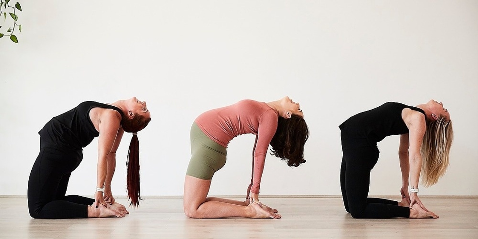 Vinyasa Flow Prenatal Yoga Modifications