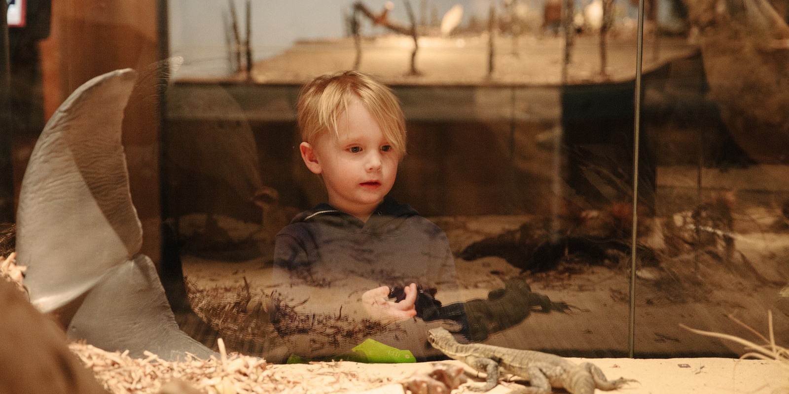 Banner image for Preschool program | Museum in a box | On the shore & beneath the waves