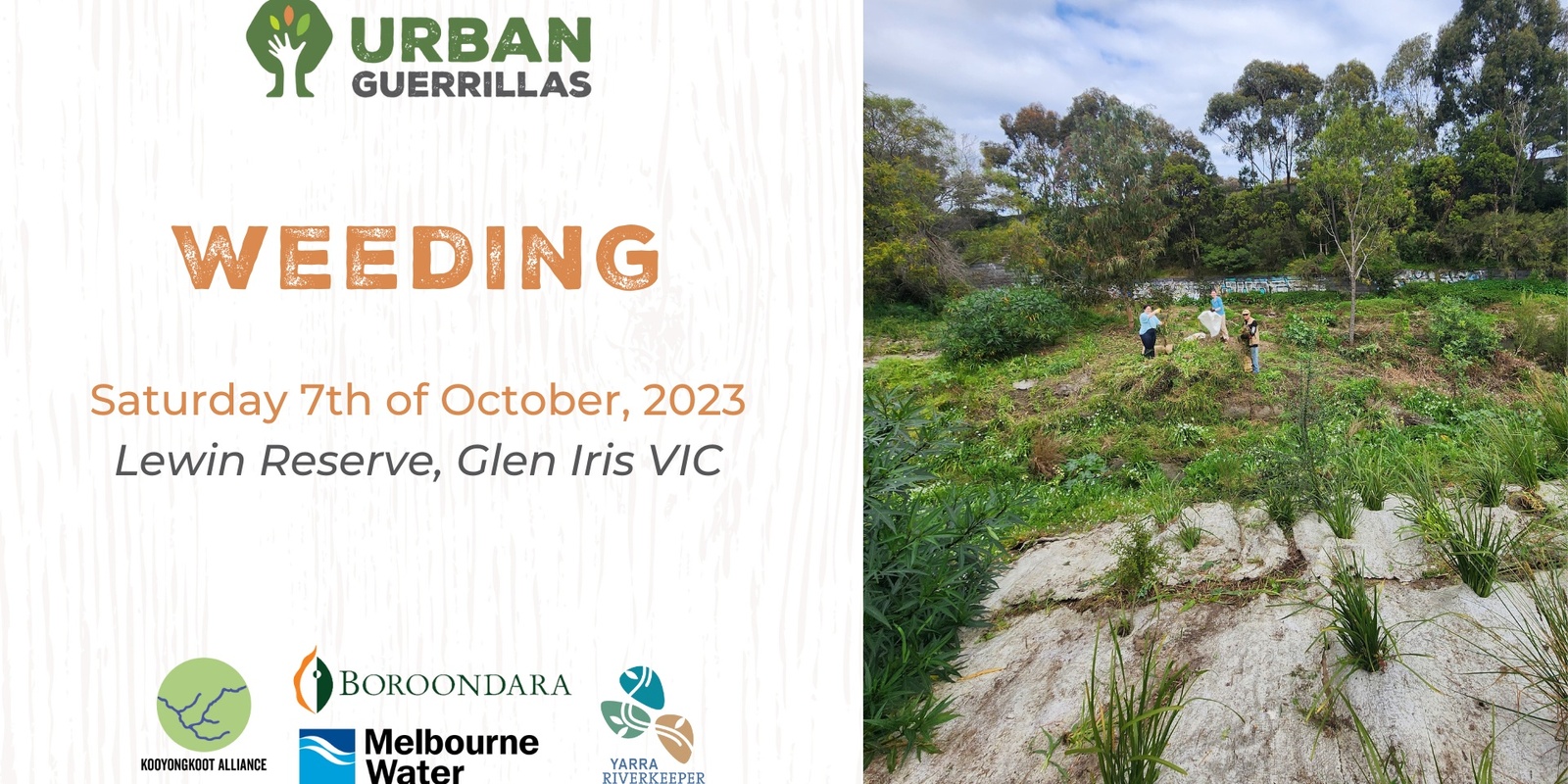 Banner image for Weeding - Lewin Reserve
