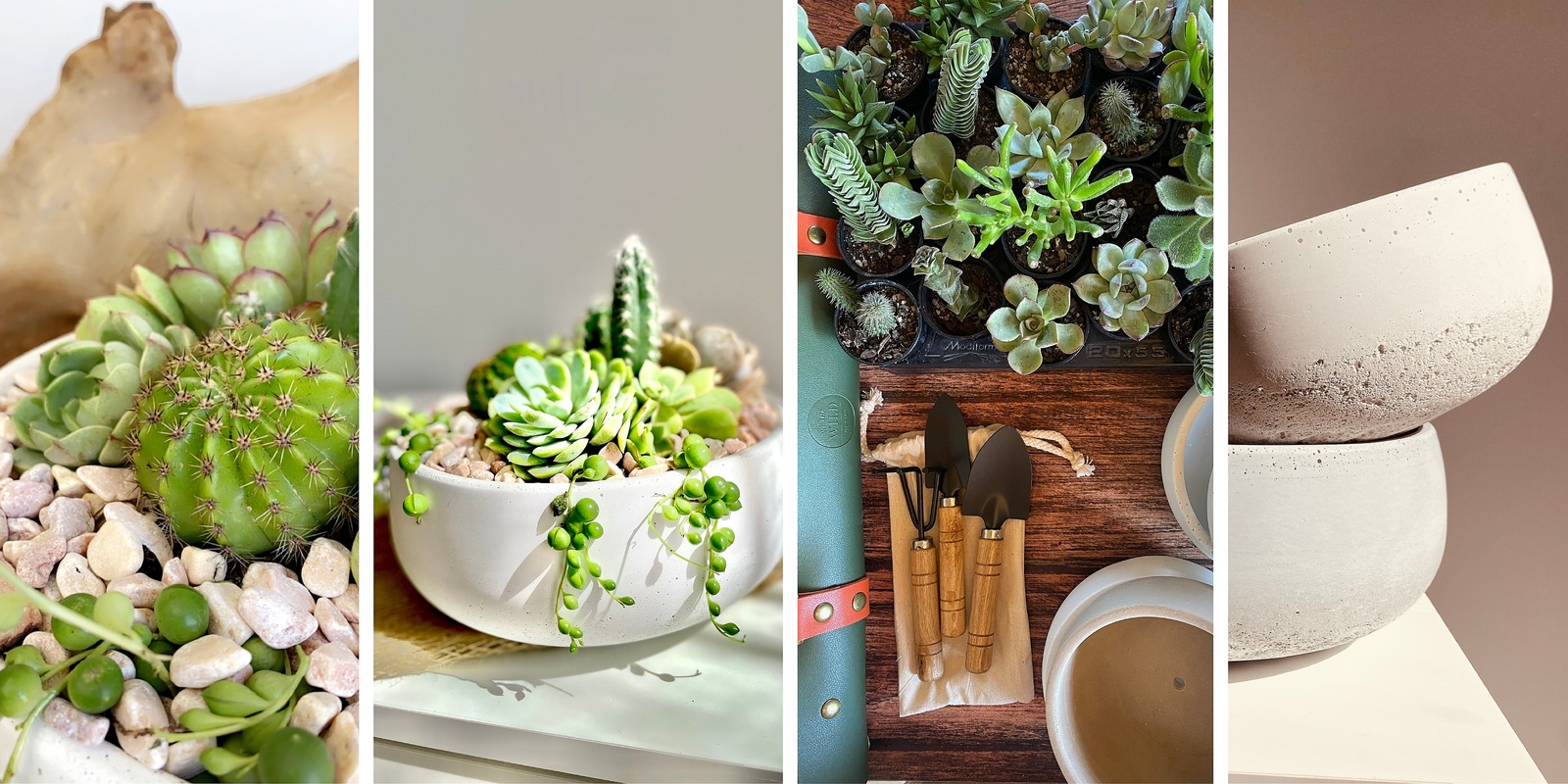 Banner image for Succulent Bowl Workshop - Hosted by Potiché