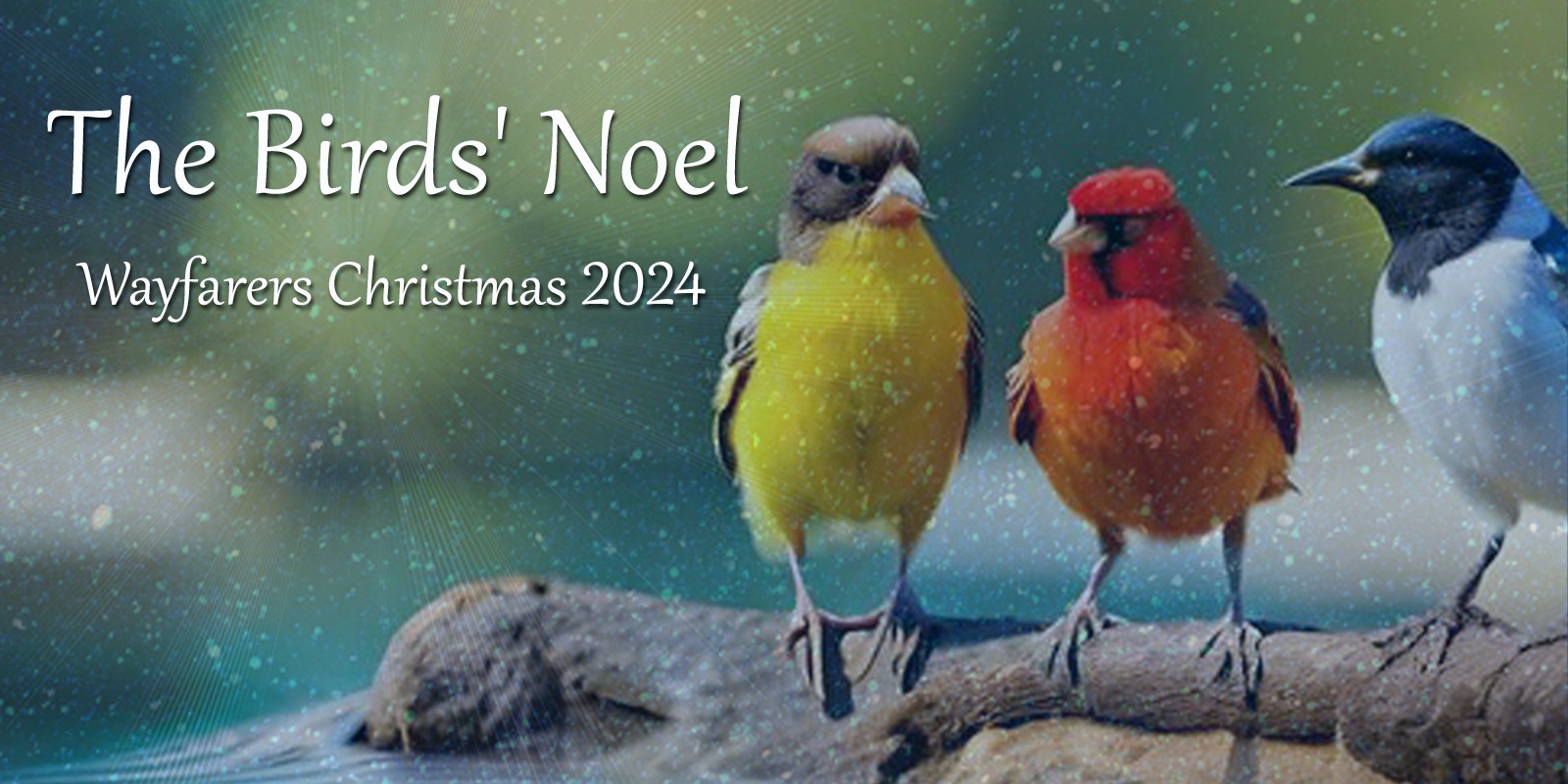 Banner image for The Birds' Noel