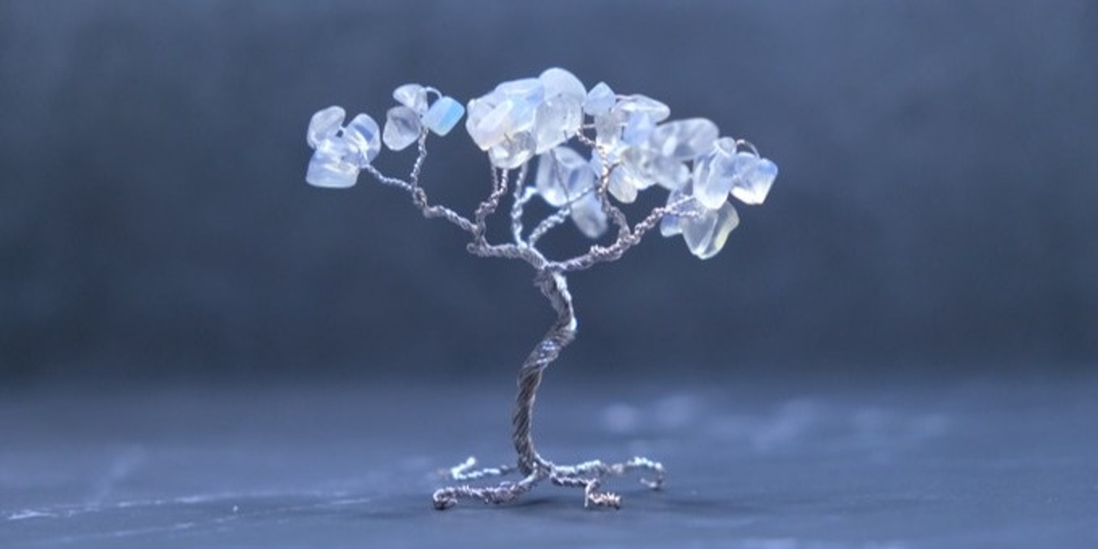 Banner image for Wirewrap Gemstone Trees with Brittany