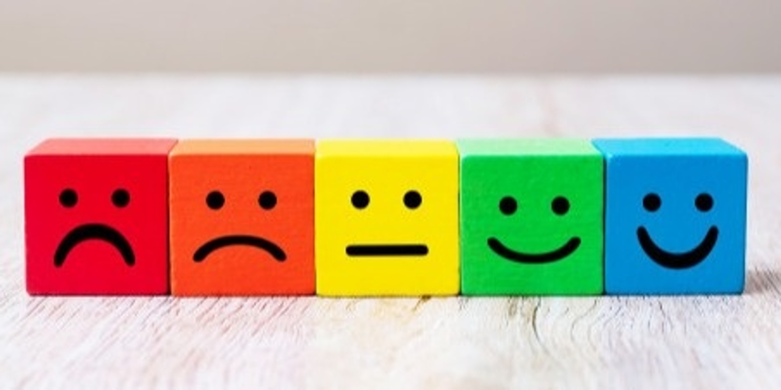 Banner image for Mood Tools: Regulating Emotions for Self and Clients - ONE DAY COURSE