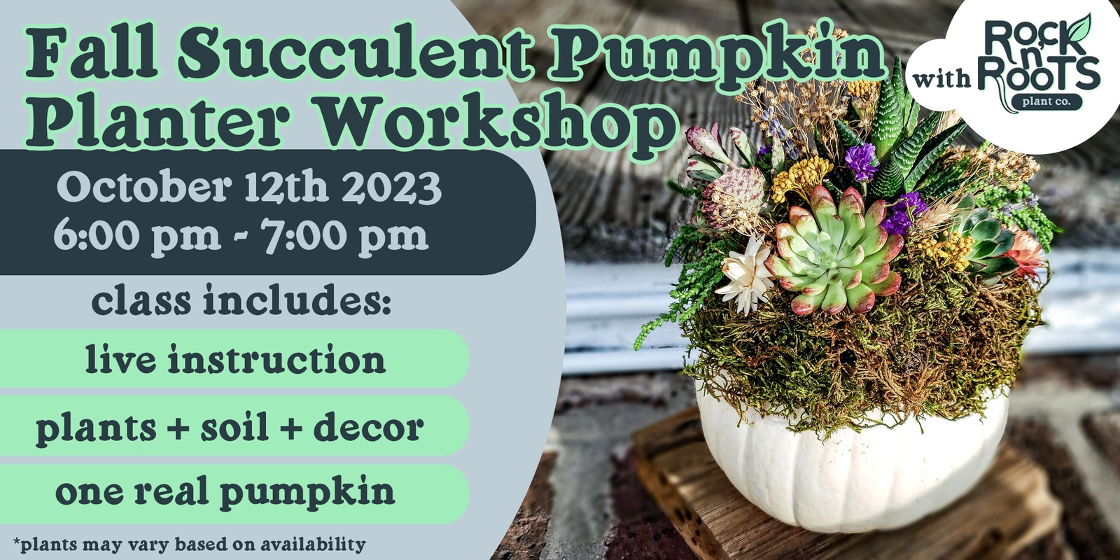 Banner image for Fall Succulent Pumpkin Planter Workshop at Rock n' Roots Plant Co. (Pawleys Island, SC)