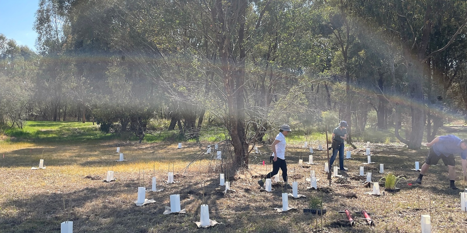 Banner image for Tree Planting Day - Albury Campus