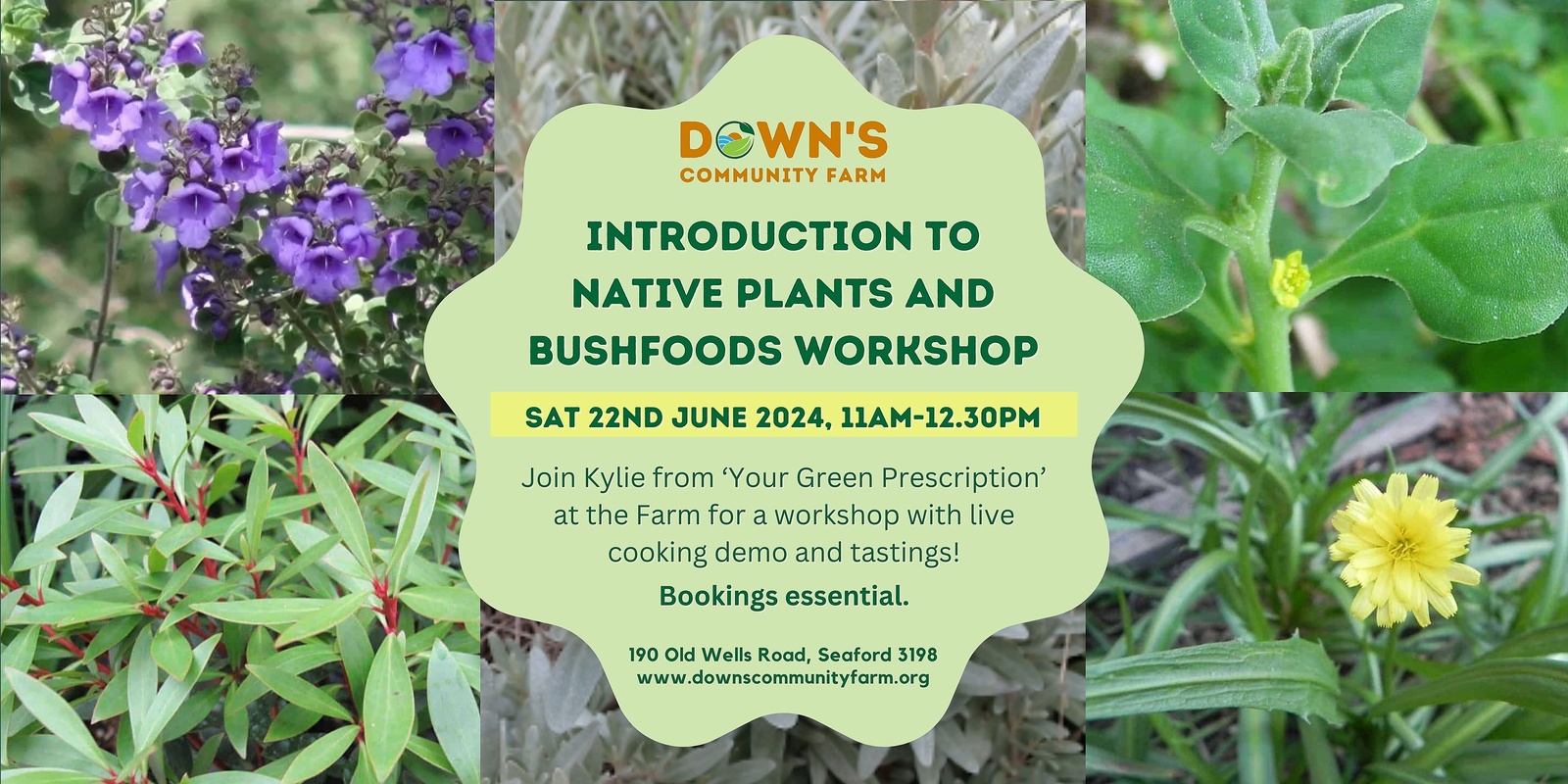 Banner image for Introduction to Native Plants and Bushfoods workshop with Your Green Prescription. 