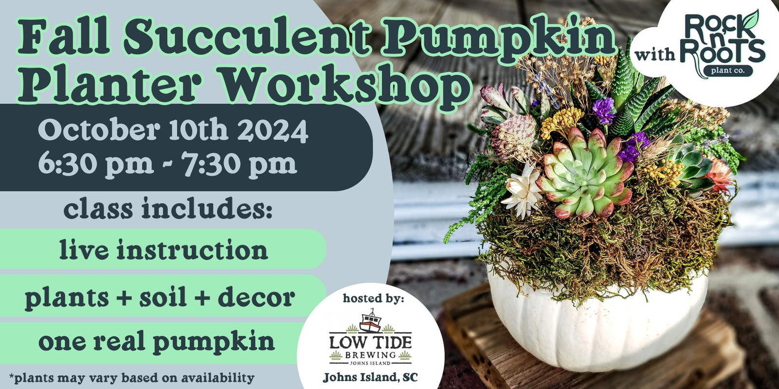 Banner image for Fall Succulent Pumpkin Planter Workshop at Low Tide Brewing (Johns Island, SC)