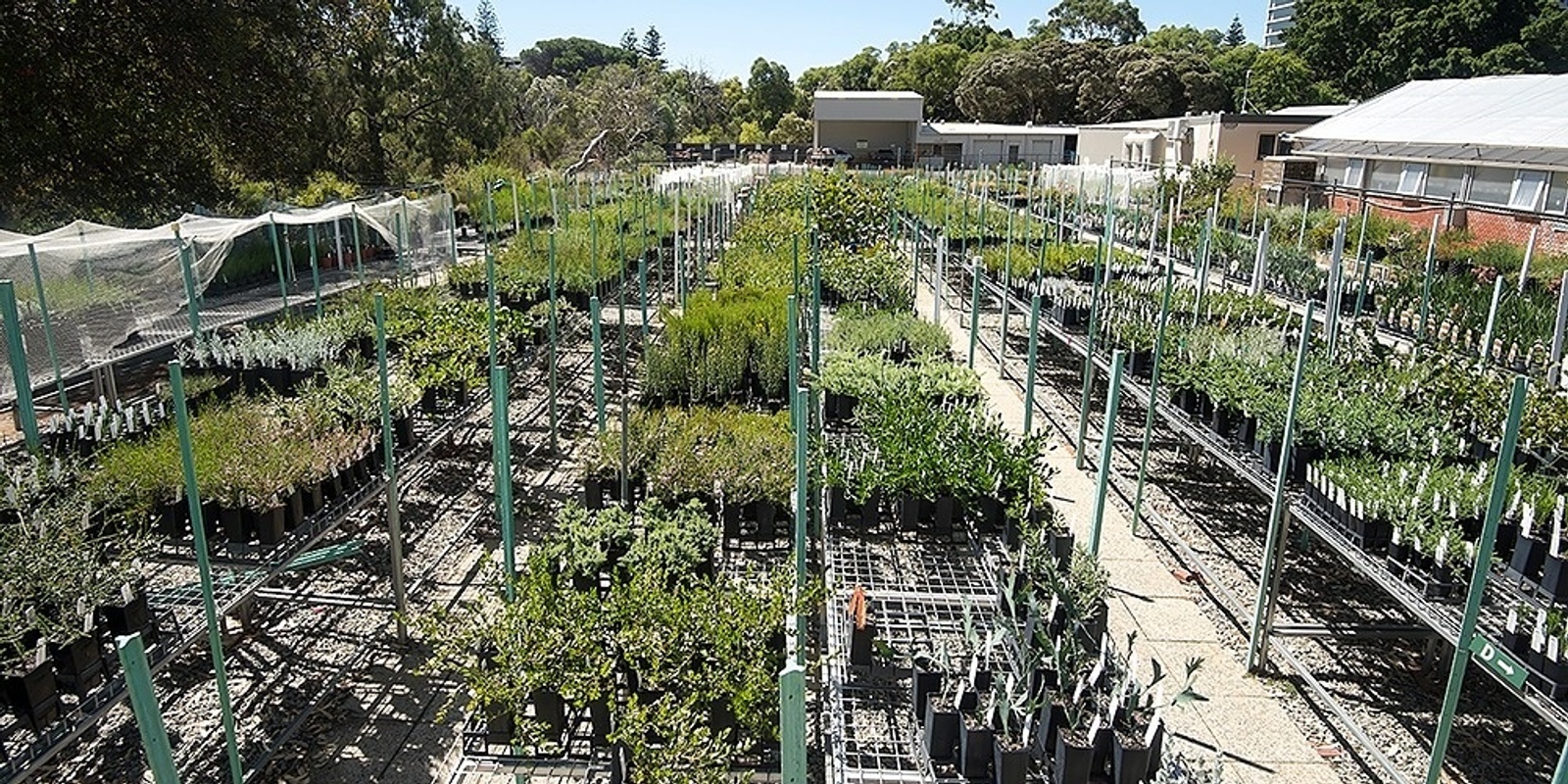 Banner image for Friends of Kings Park Nursery Tours