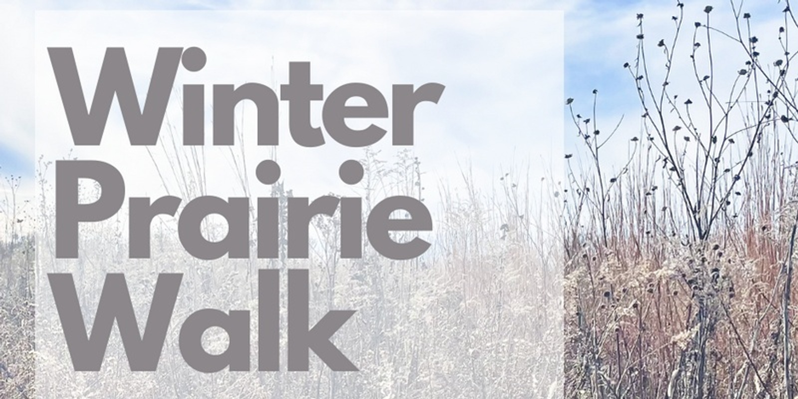 Banner image for Winter Prairie Walk with April Graham