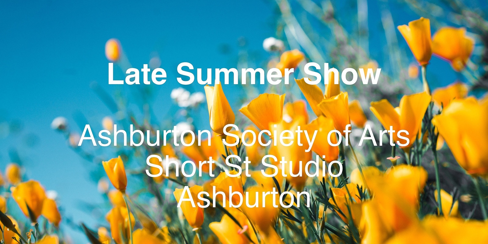Banner image for Late Summer Show Opening Night