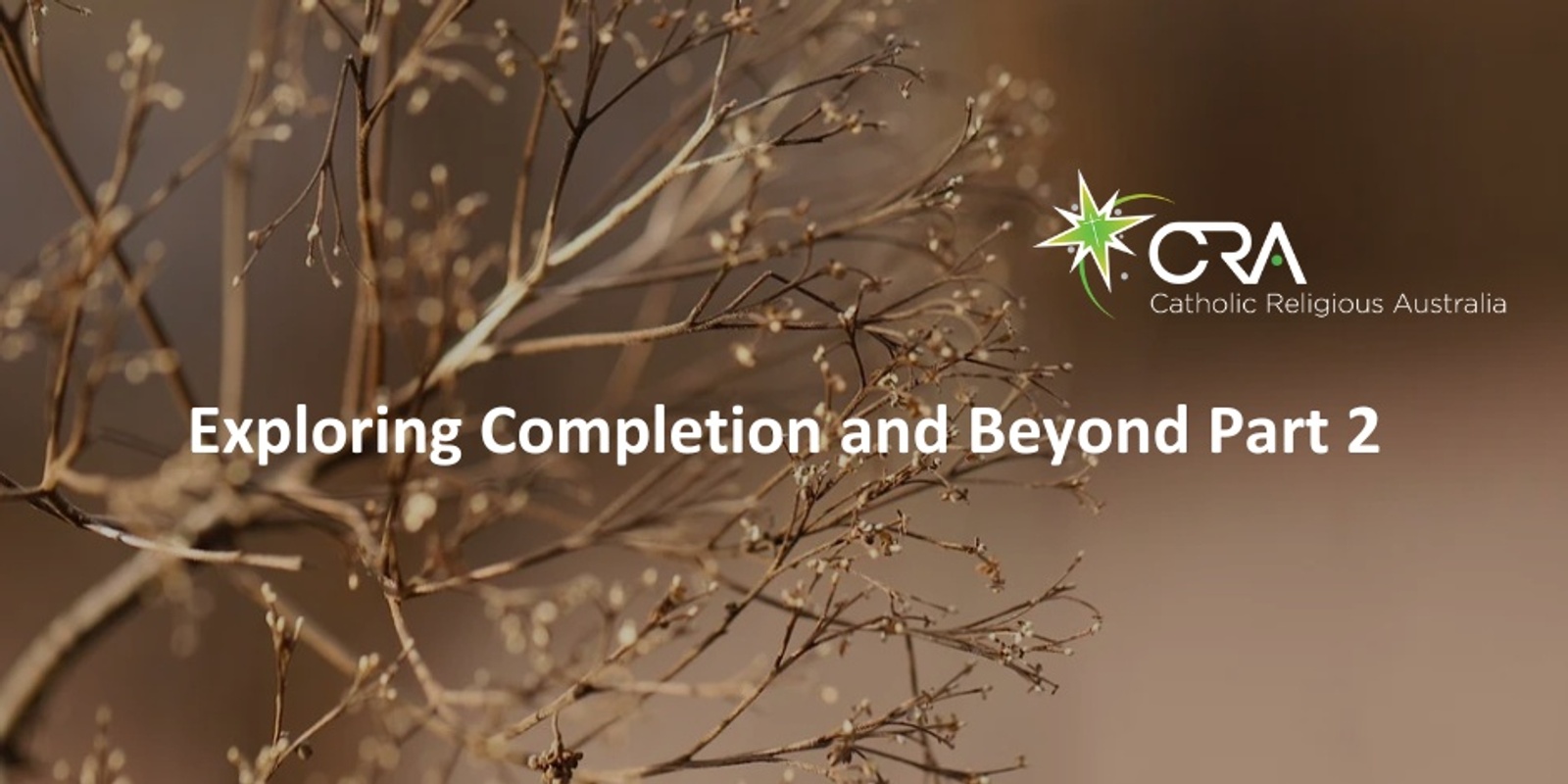 Banner image for Exploring Completion and Beyond Part 2