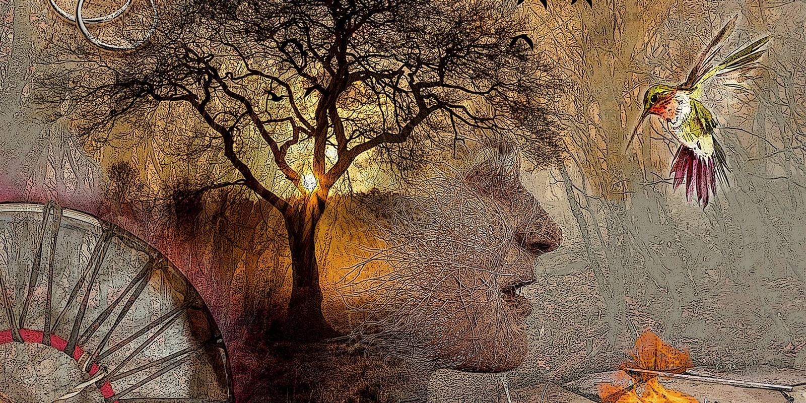 Banner image for ReWild Online - An Introduction to the Four Dimensions of Human Wholeness Beginning May 7th 