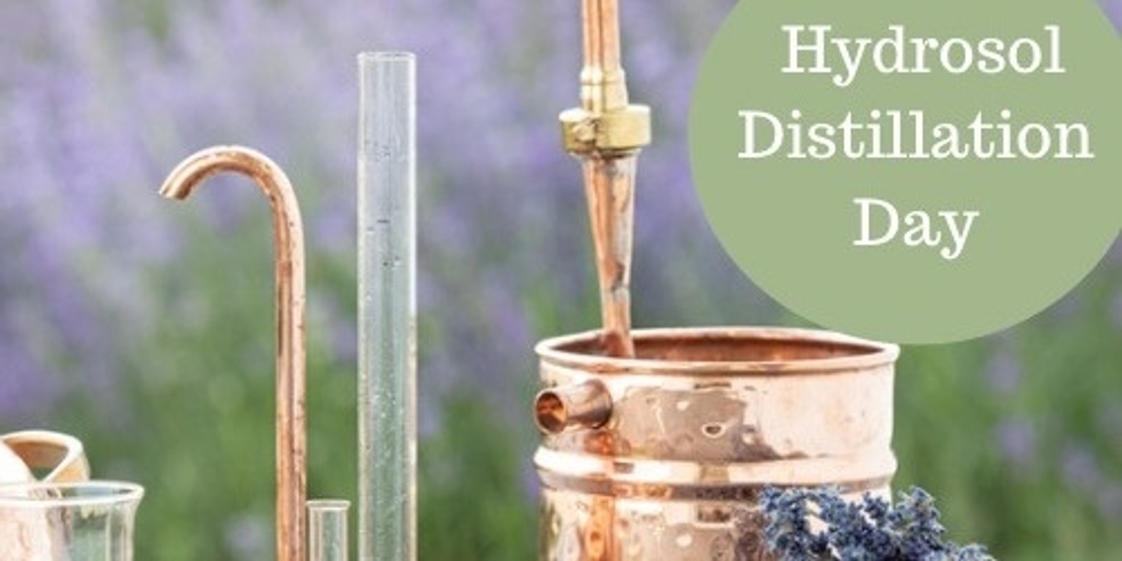 Banner image for Hydrosols Distillation & Exploration Class