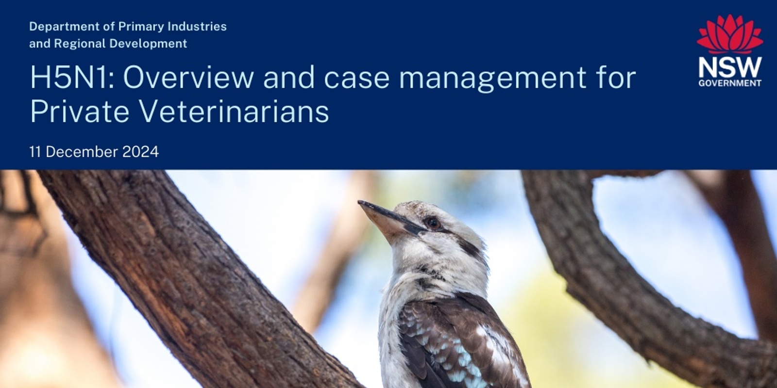 Banner image for H5N1: Overview and case management for Private Veterinarians