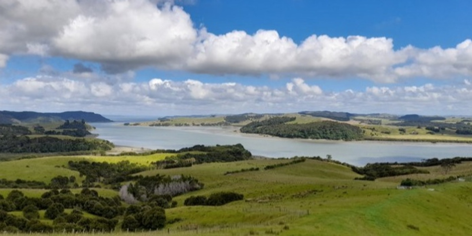 Banner image for Atiu Creek Trail