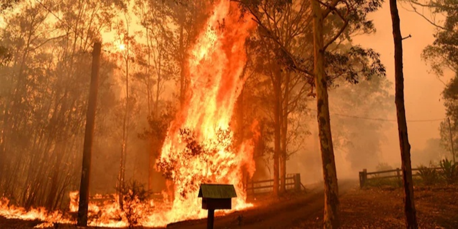 Banner image for Peppin Point Hub Fire Safety Planning Workshop (held at Bonnie Doon Hall)