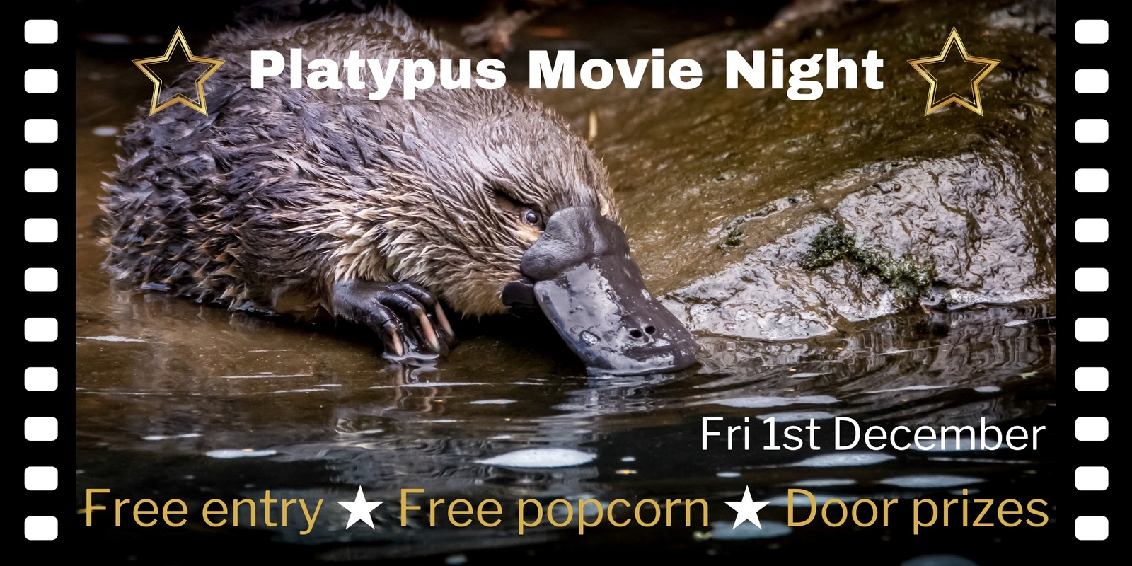 Banner image for Platypus Movie Night