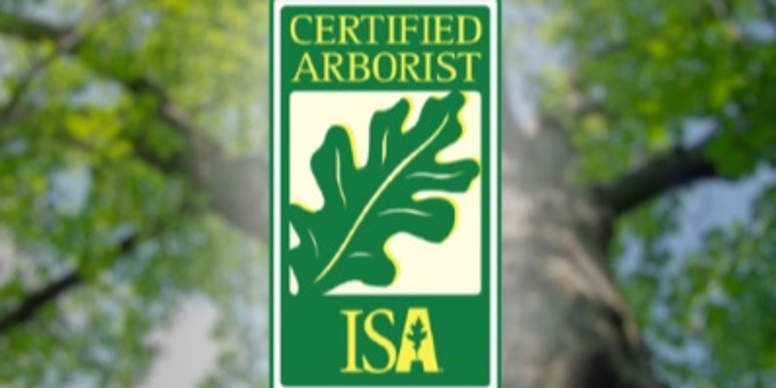 Banner image for ISA Certified Arborist Prep-Course & Exam