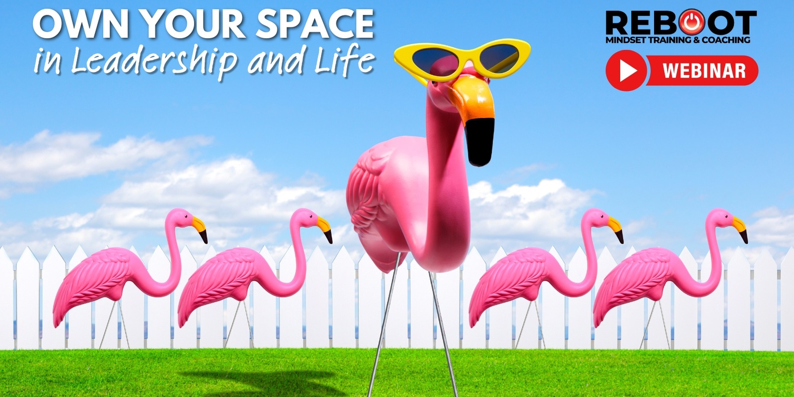 Banner image for Own Your Space - in Leadership and Life