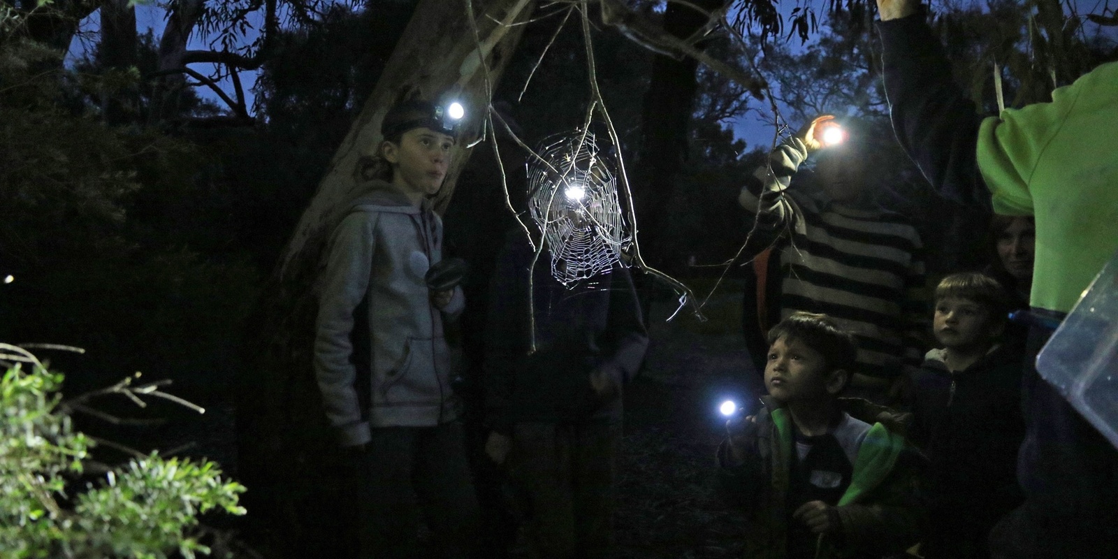 Banner image for Nature by Night at Willunga