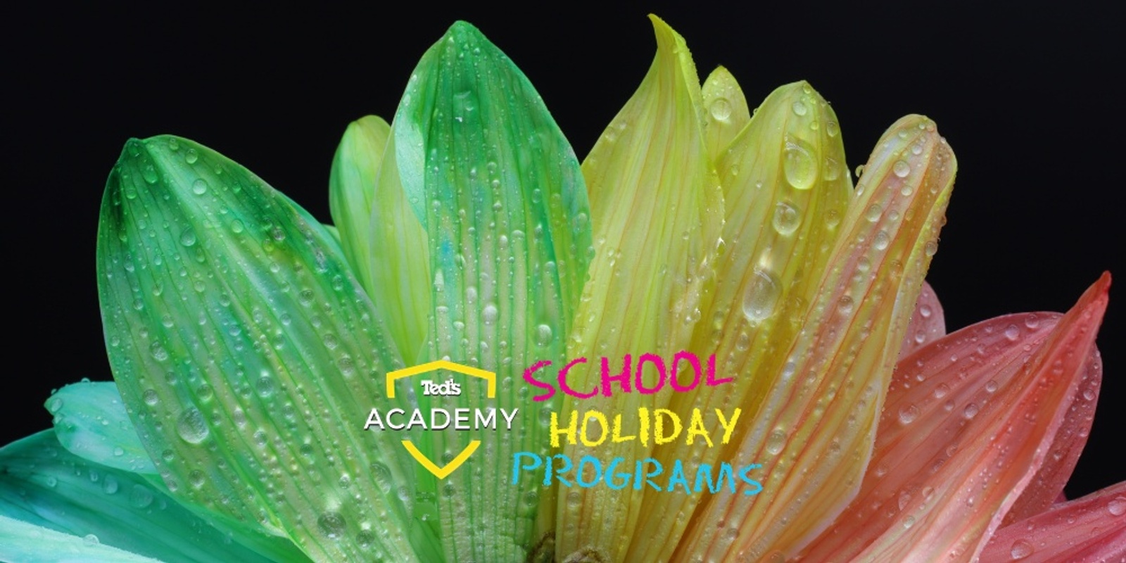 Macro Photography | School Holidays Program (12-18 years) | Melbourne