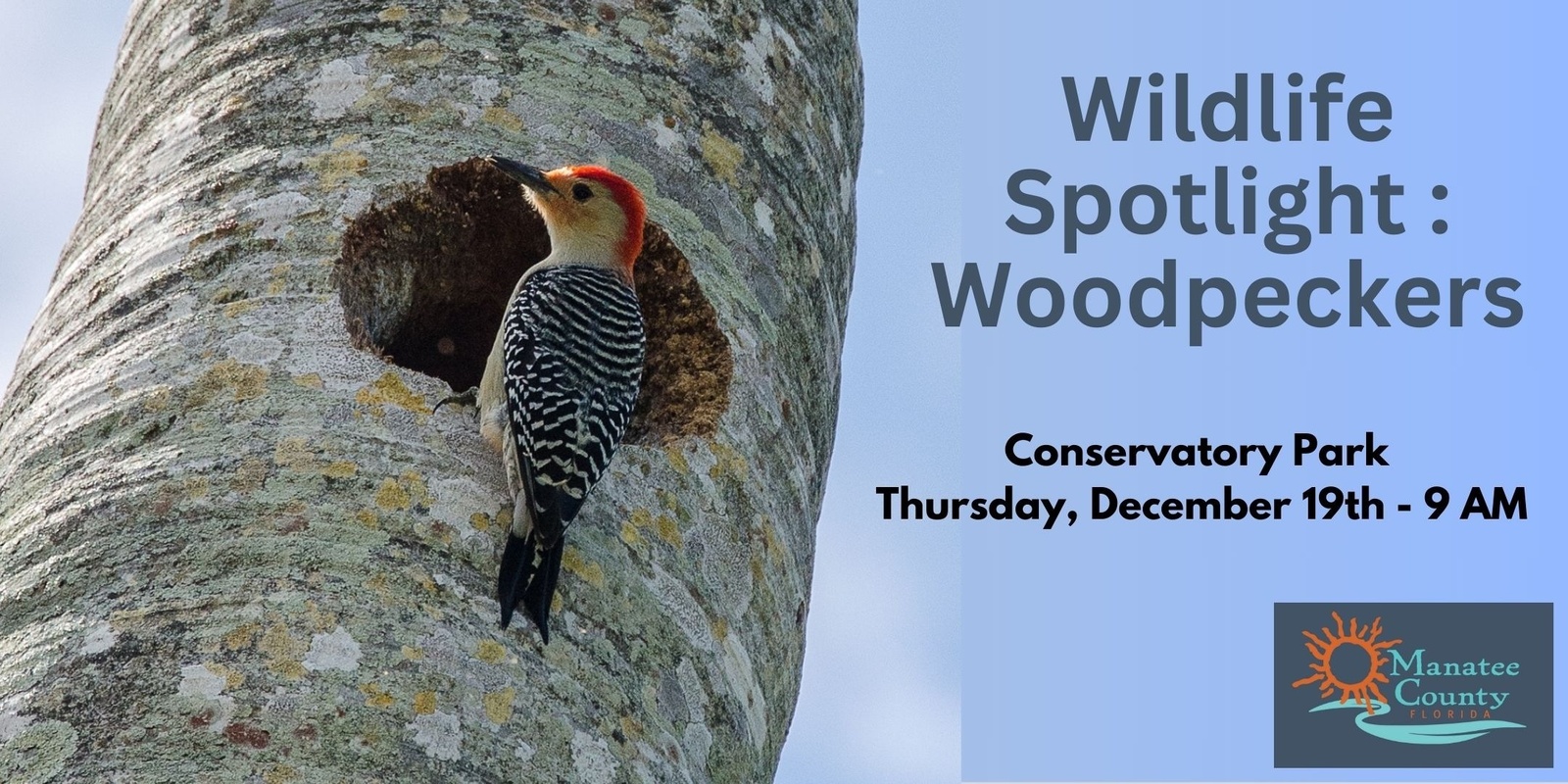 Banner image for Wildlife Spotlight: Woodpeckers 2024