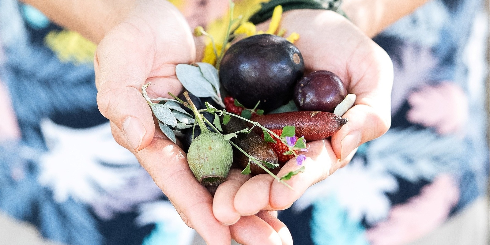 Banner image for Australian Ploughman: All-Inclusive Lunch & Native Walk