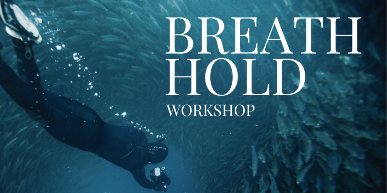 Banner image for Breath hold workshop for surfers, freediving and spear fishing 