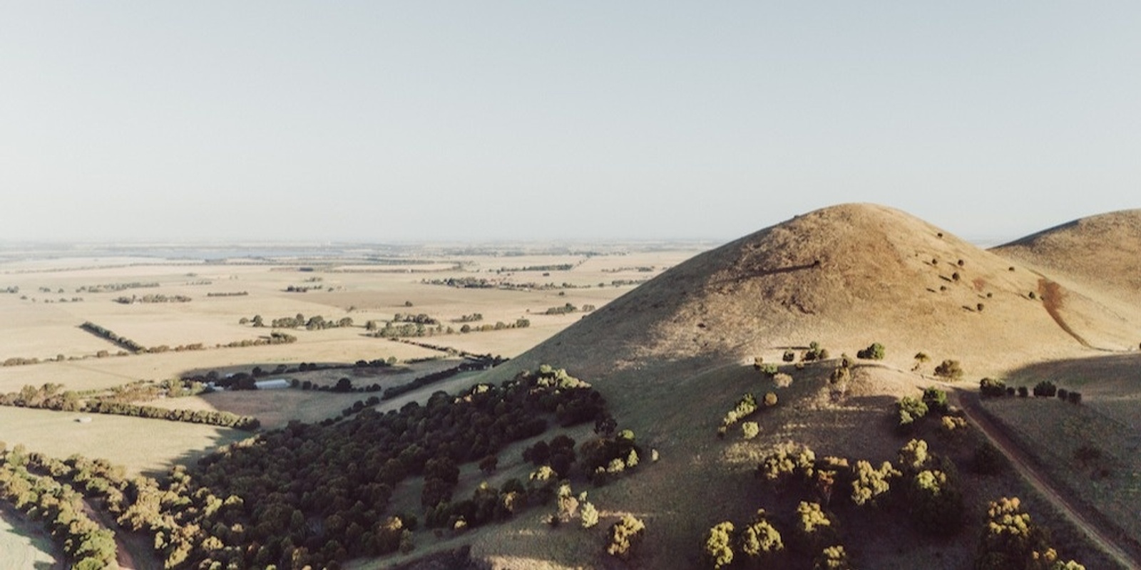 Banner image for Elephants, Eagles and an Expansive view - Grade 3 (Medium)